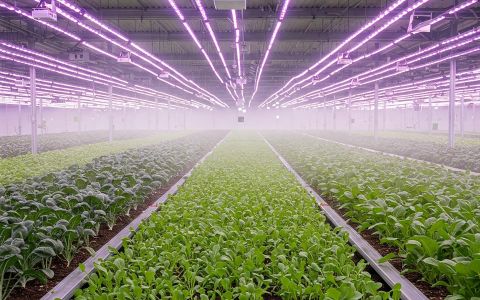 Seeking to Purchase Aerosol Farming Equipment